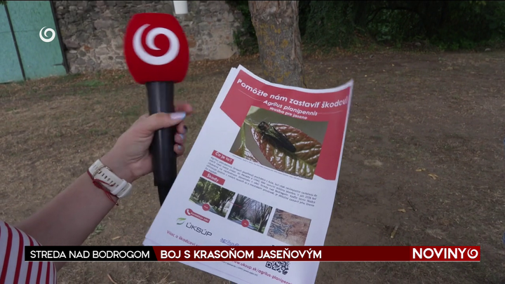 Krasoň jaseňový - informačné letáky